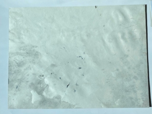 Aurelia Annus Zeichnung Gouache, Schlacht der Seeg�tter, 2007