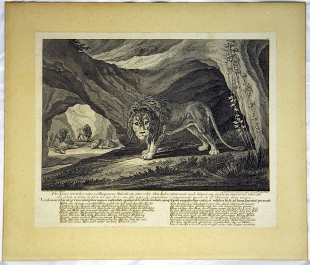 Johann Elias Ridinger 