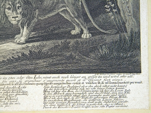 Johann Elias Ridinger 