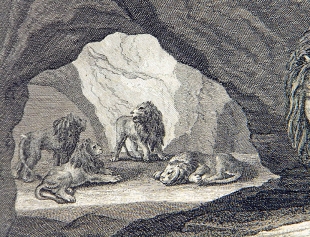 Johann Elias Ridinger 