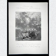 Ausstellungsplakat Ursula Mattheuer-Neust�dt Leipzig 1982
